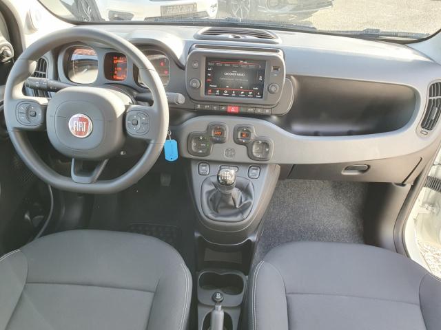 Fiat Panda - MY23 1.0 70 ch Hybride BSG S/S Cross